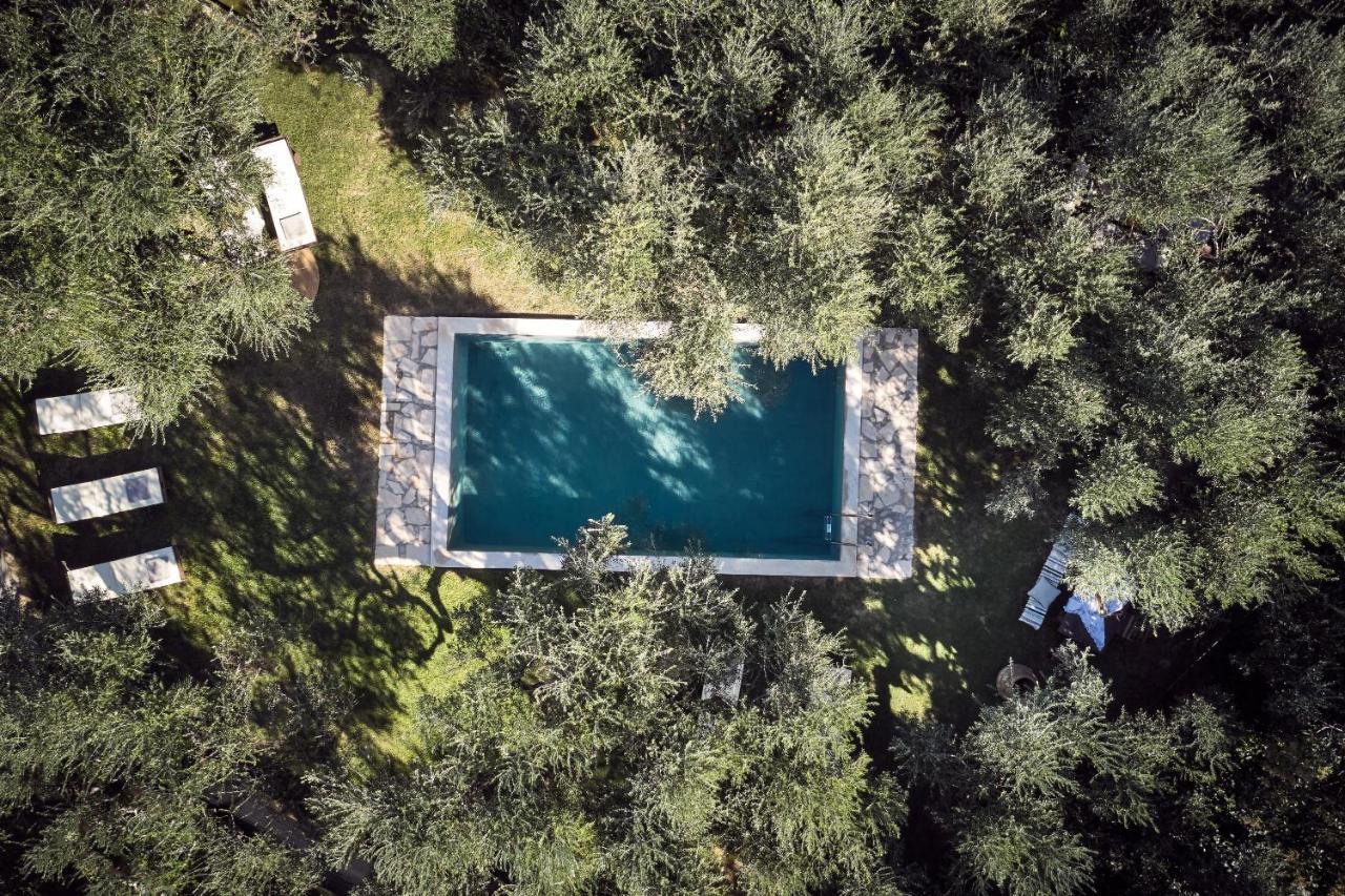 Vafias Villa - Tranquil Location, Ideal For Large Groups, By Zantewize Lithakiá Kültér fotó